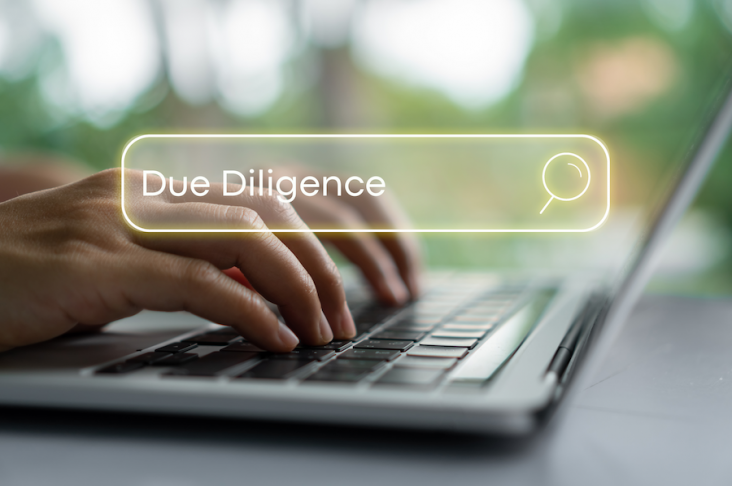 Due Diligence